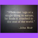 John Muir.jpg